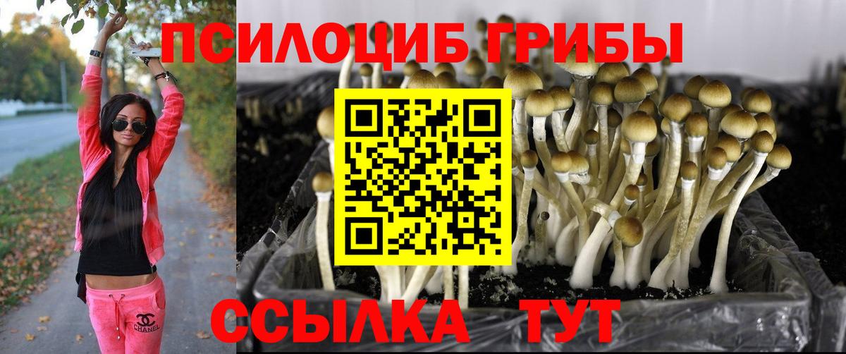 Псилоцибиновые грибы Magic Shrooms  где можно купить   Ипатово  Вход с VPN 